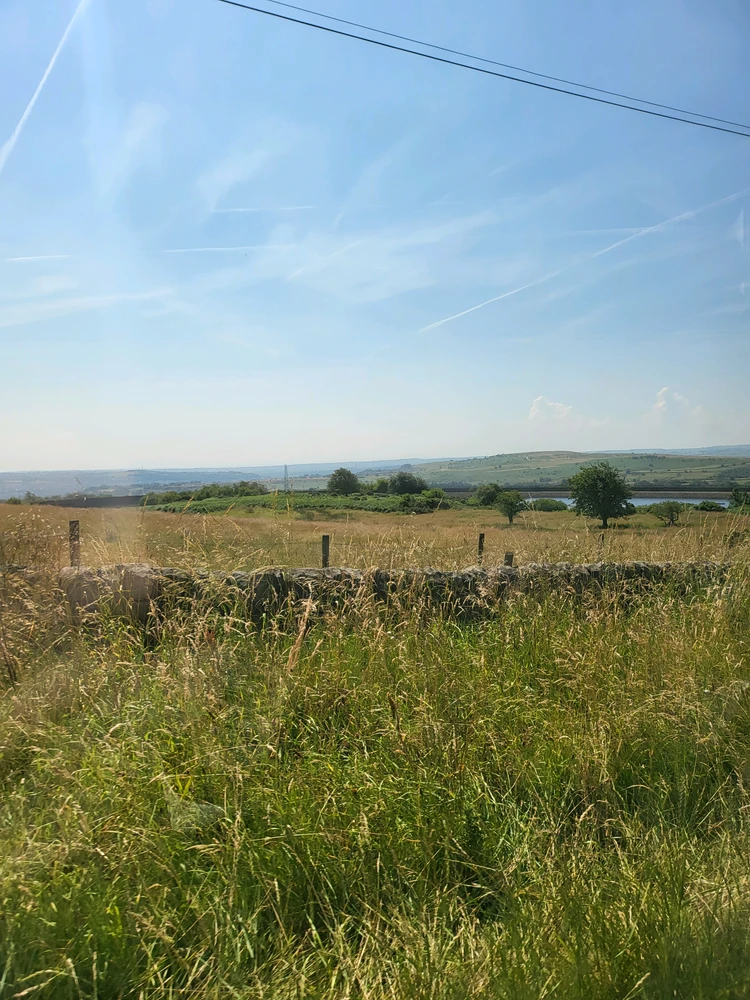 Image uploaded by Owen