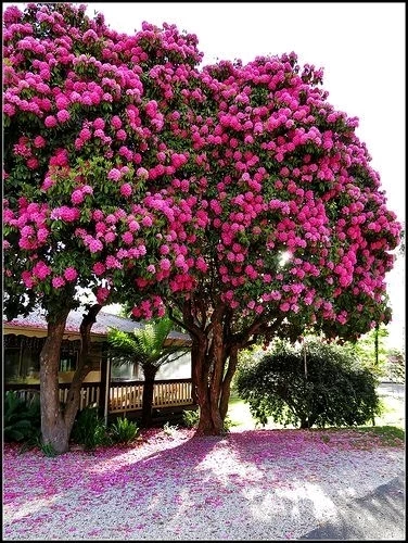 GIF uploaded by Tithi