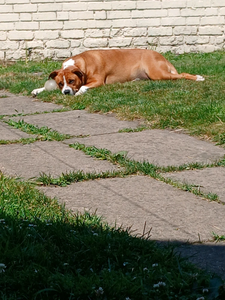 Sliku je postavio/la Vicky