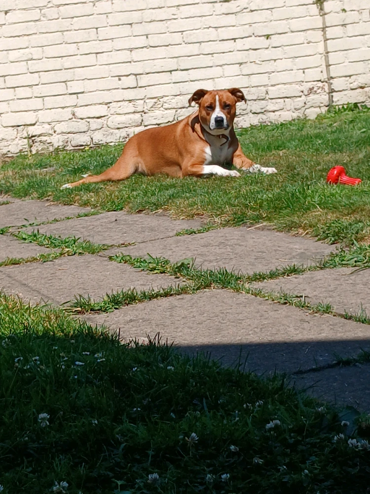 Sliku je postavio/la Vicky