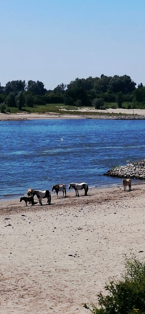 GIF uploaded by Aga