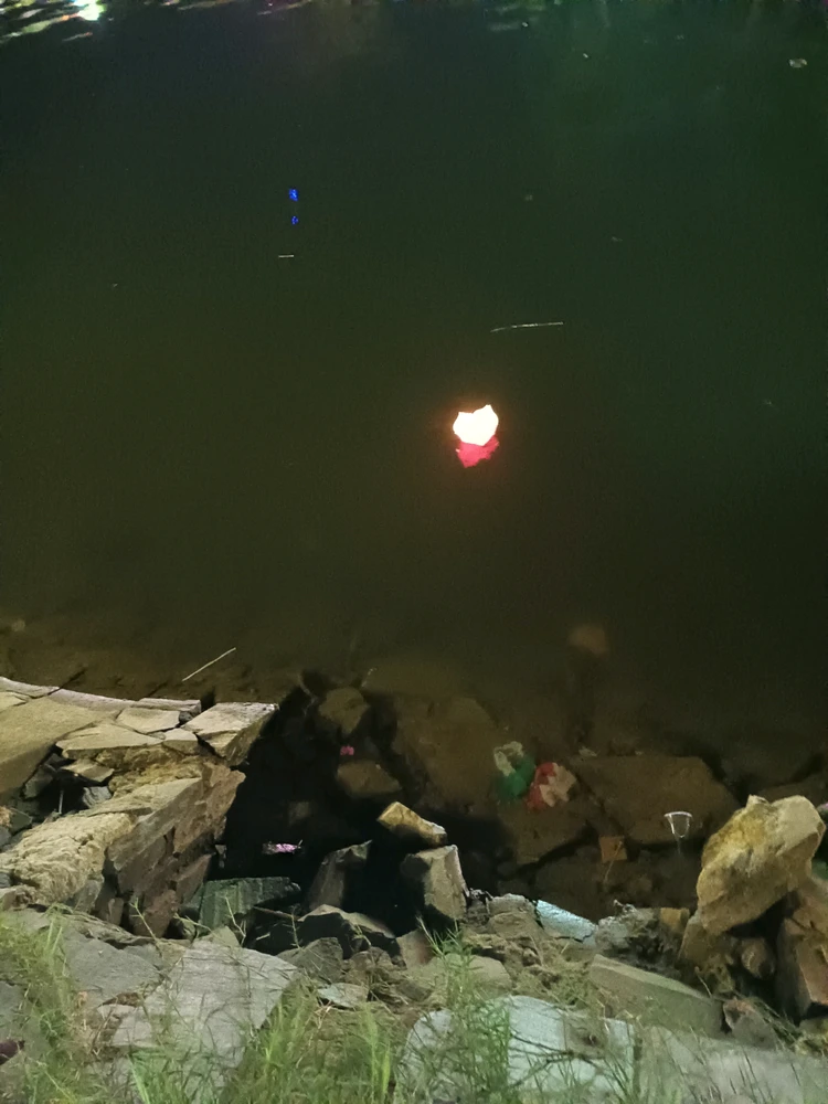 GIF eropgeluede vum Minami Zume