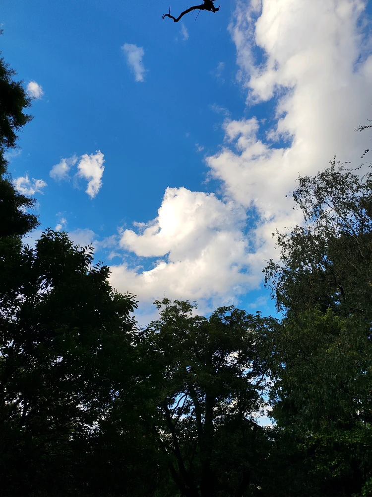 GIF uploaded by Tithi