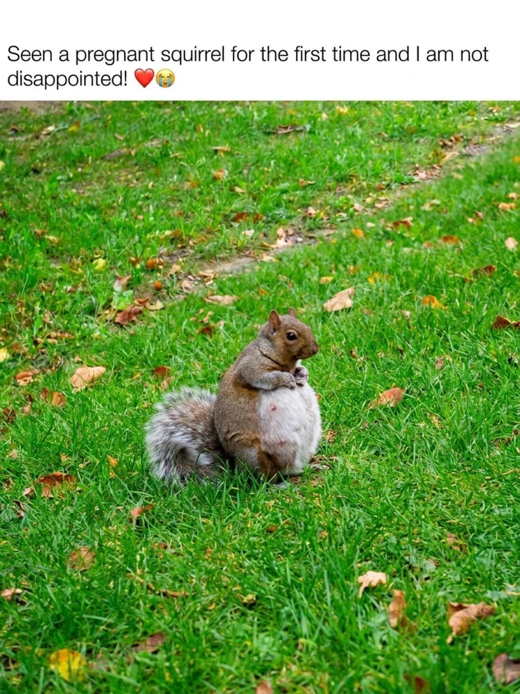 GIF imtella' minn ℳℴ𝓇𝓃𝒾𝓃ℊ𝓈𝓉𝒶𝓇