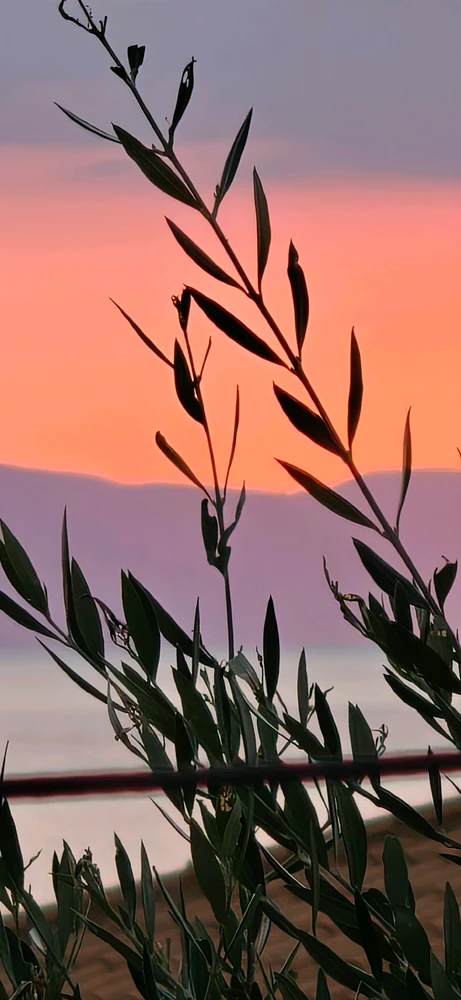 Ορέστης님이 올린 사진