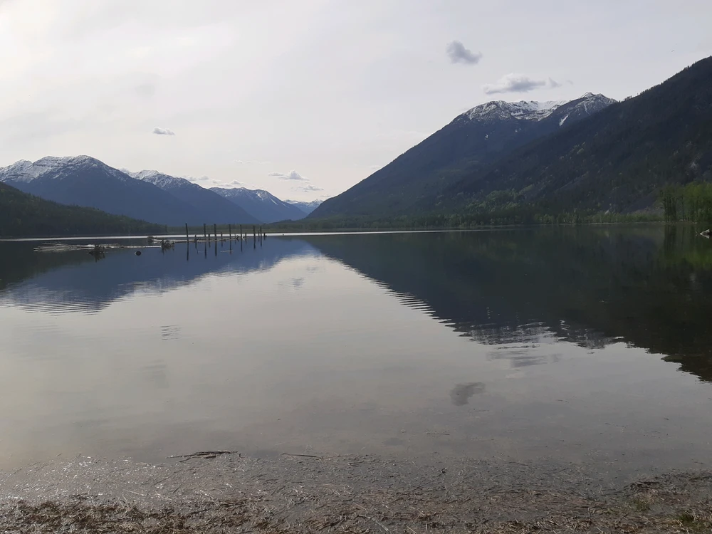 GIF uploaded by Bract
