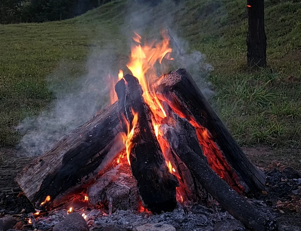 GIF eropgeluede vum Victoria