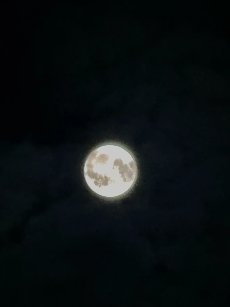 GIF įkėlė Gi