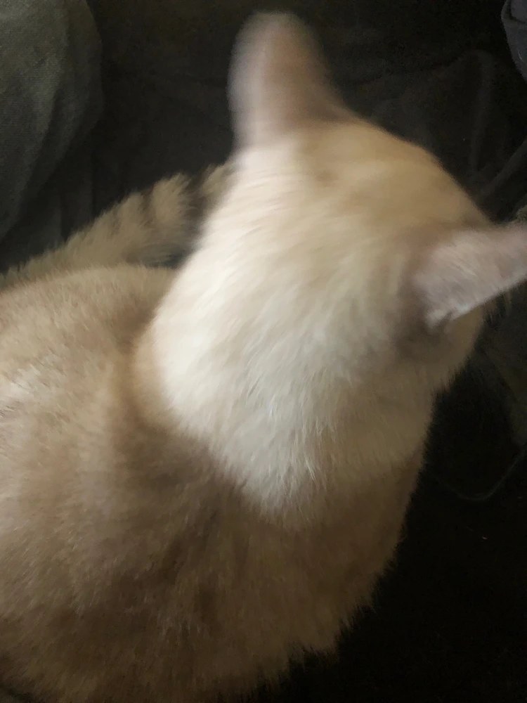 GIF subido por Alexander