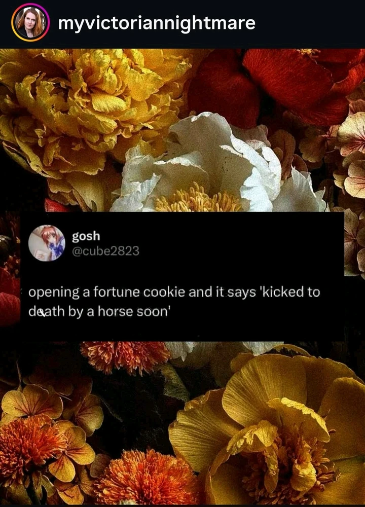 GIF ajouté par Maili