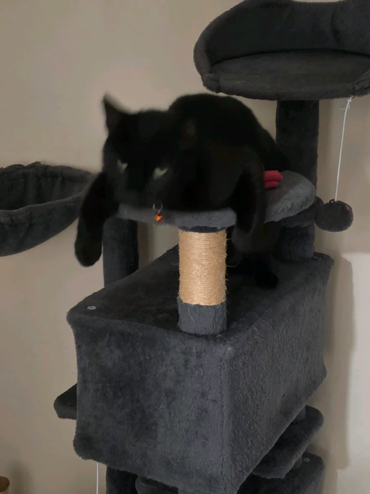 GIF uploaded by Mark