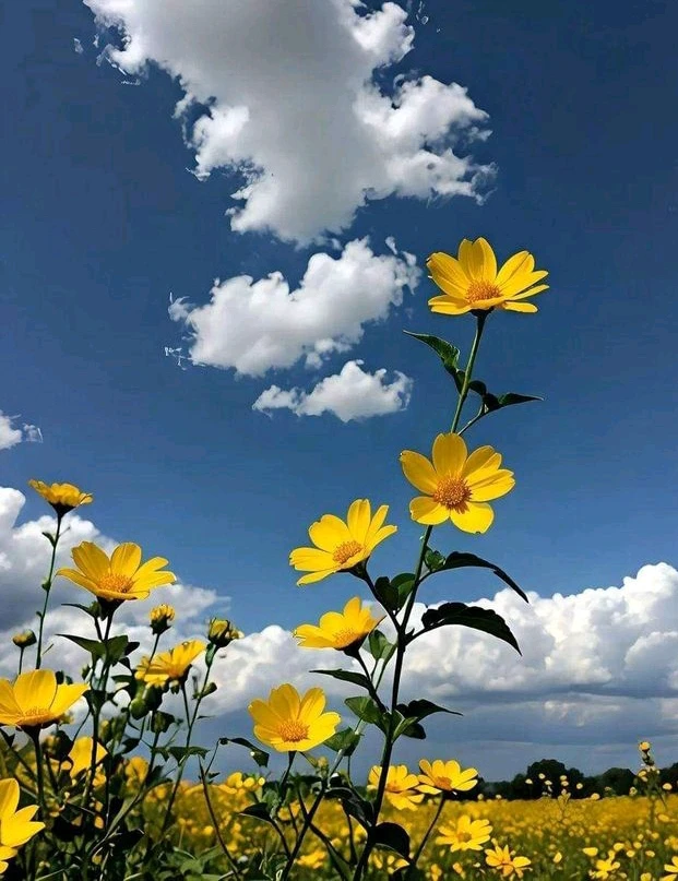 GIF ngarkuar nga 𝑨𝒏𝒆𝒆𝒍..