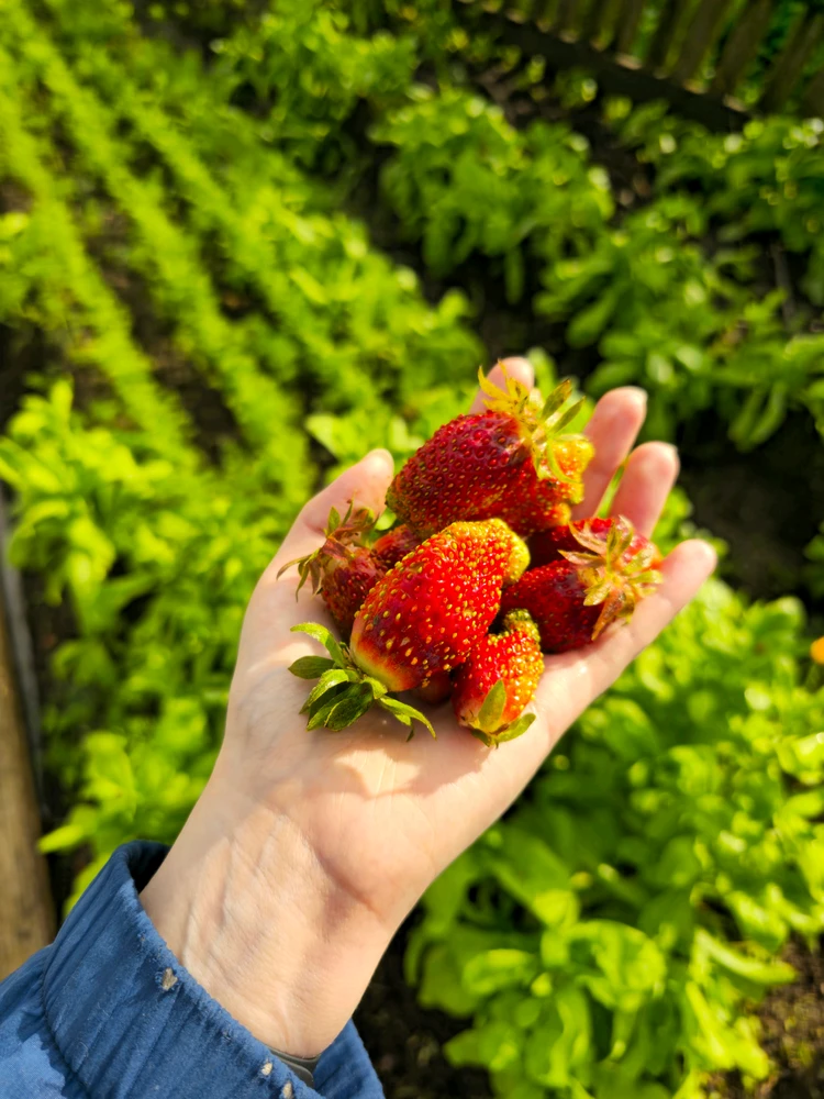 Image uploaded by No Name