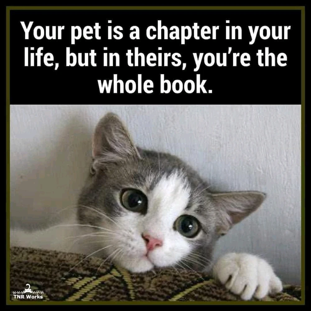 GIF uploaded by Michalis