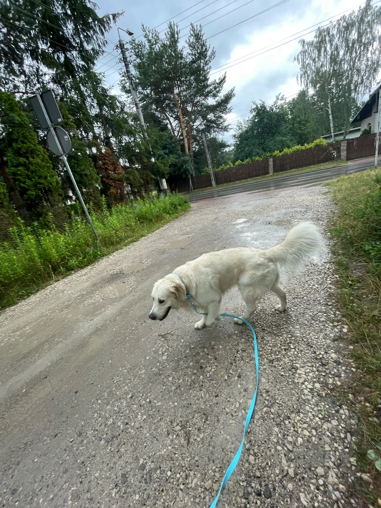 Sliko je naložil ᛏᛟᛗᚨᛊᛉ