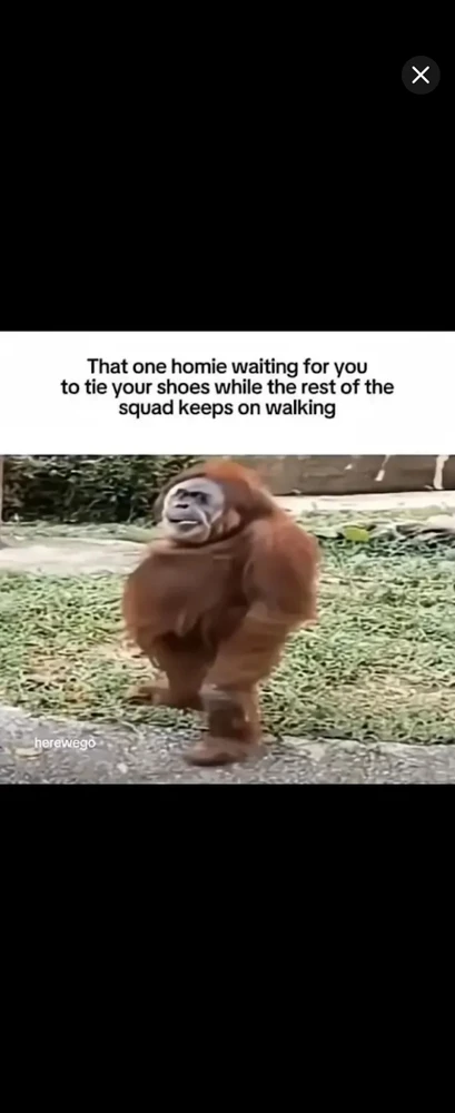GIF üles laaditud kasutajalt *JB* 🇬🇧🇬🇷
