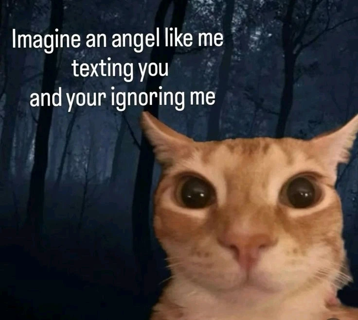 GIF dodany przez Ray