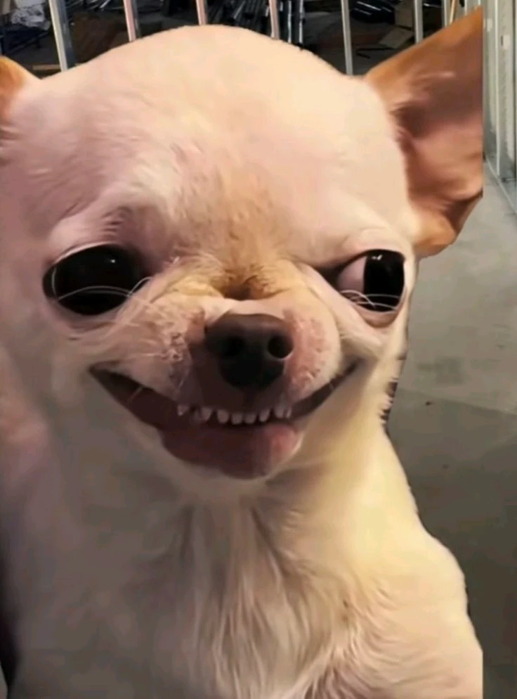 GIF được Yelyzaveta tải lên