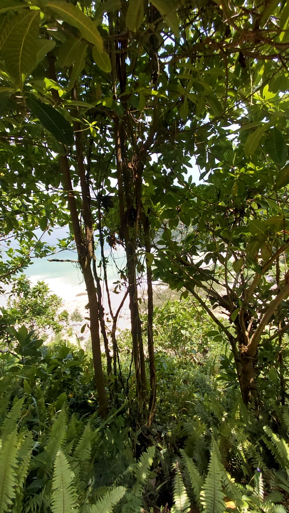 Image uploaded by G