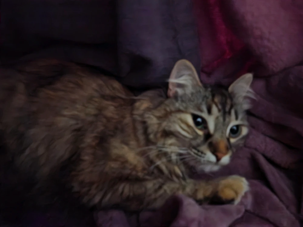 GIF uploaded by Ashleigh