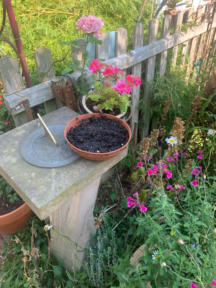 Sliku je postavio/la Tom