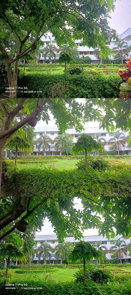 GIF uploaded by Rupam Sarkar