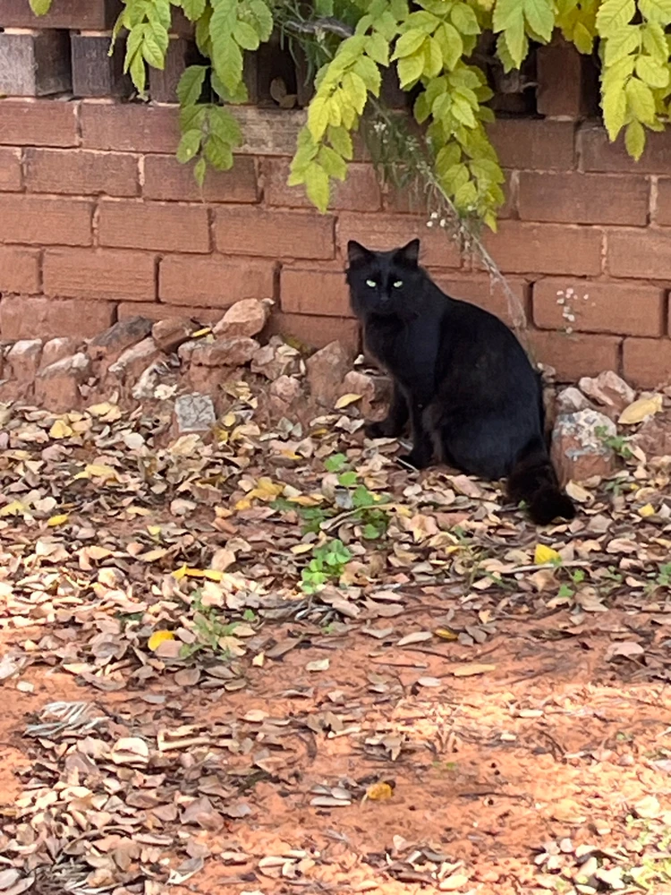 Image uploaded by Palesa