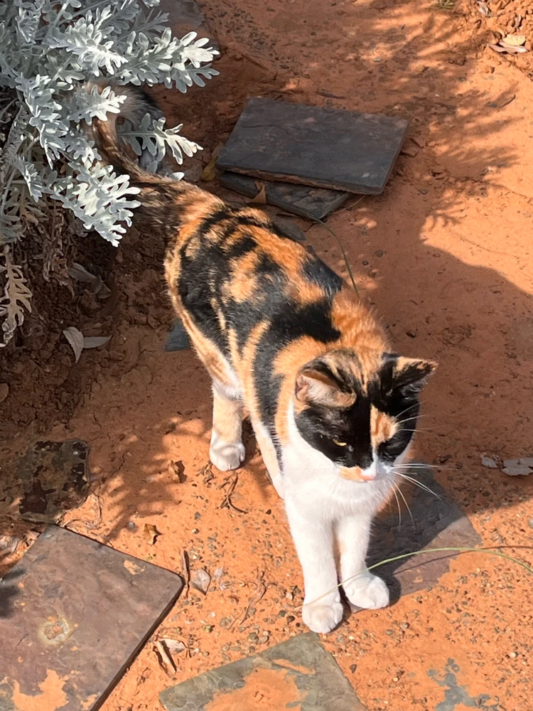 Image uploaded by Palesa
