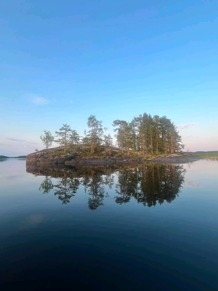 Image uploaded by Winter