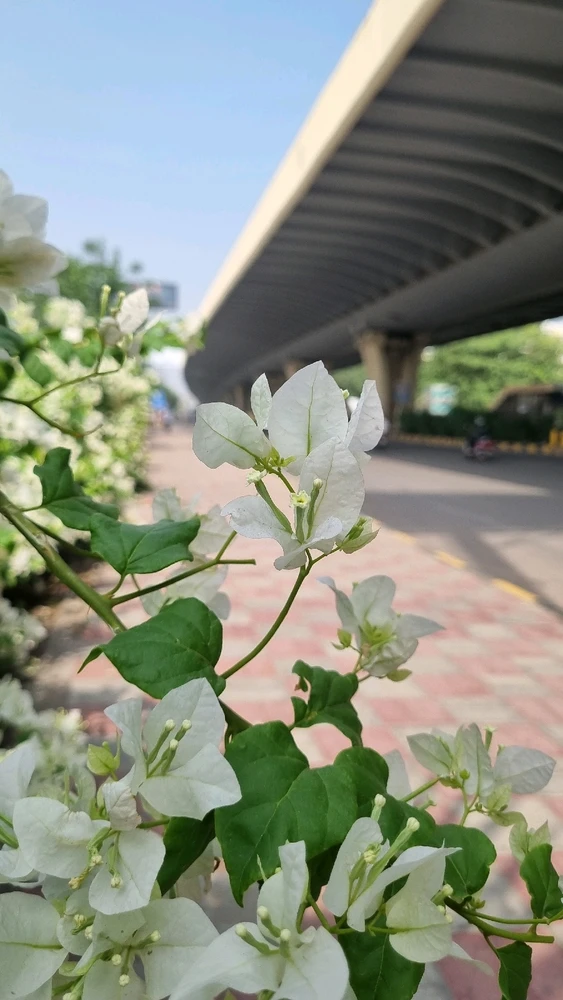 GIF uploaded by Syed