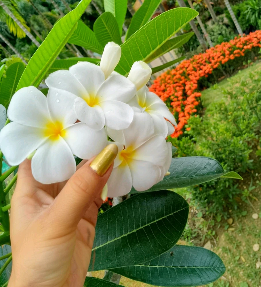 GIF uploaded by Love