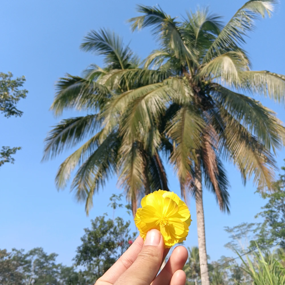GIF subido por Alif Nurul