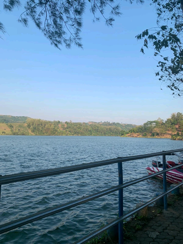 Sliku je postavio/la Lilia