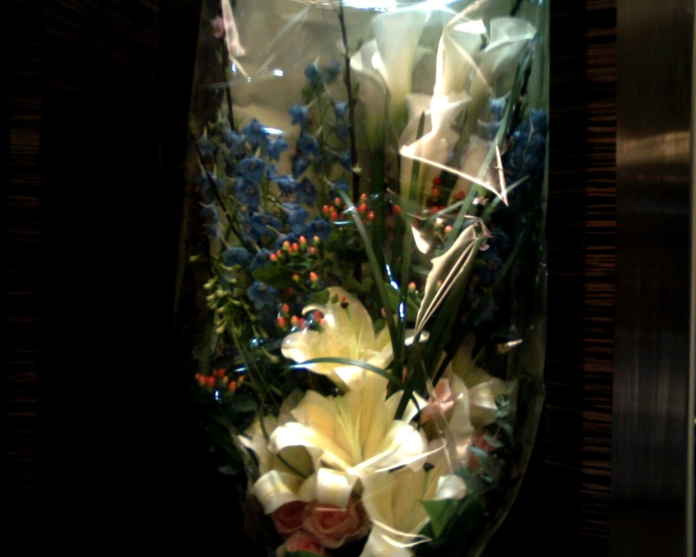 GIF uploaded by Ann
