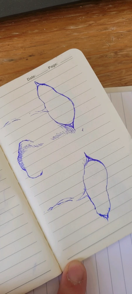Gambar diunggah ku Batkhaan