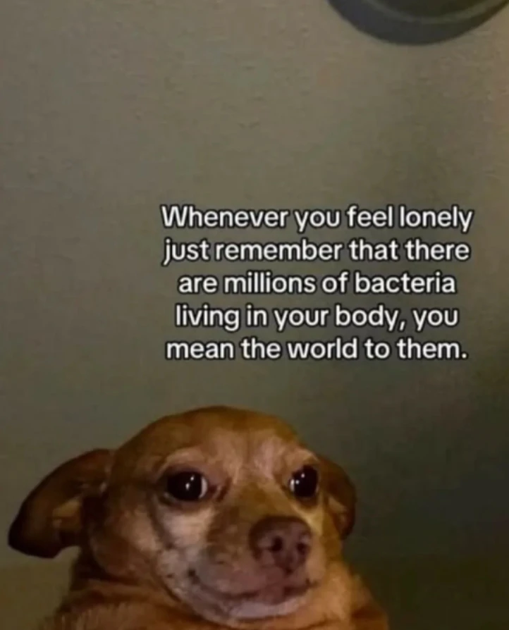 GIF uploaded by Joy