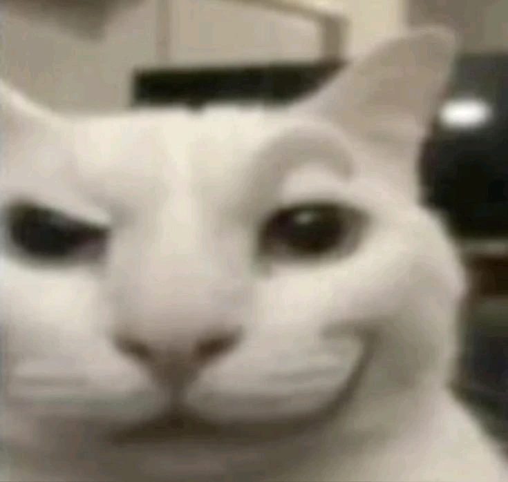GIF eropgeluede vum Snow