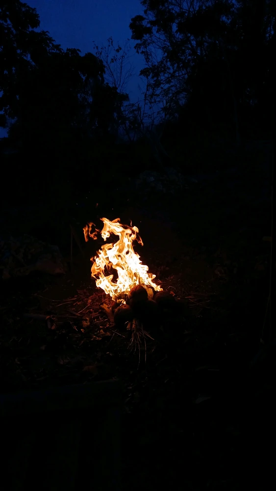 GIF diunggah ku Yna