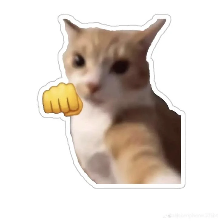 GIF eropgeluede vum Naved