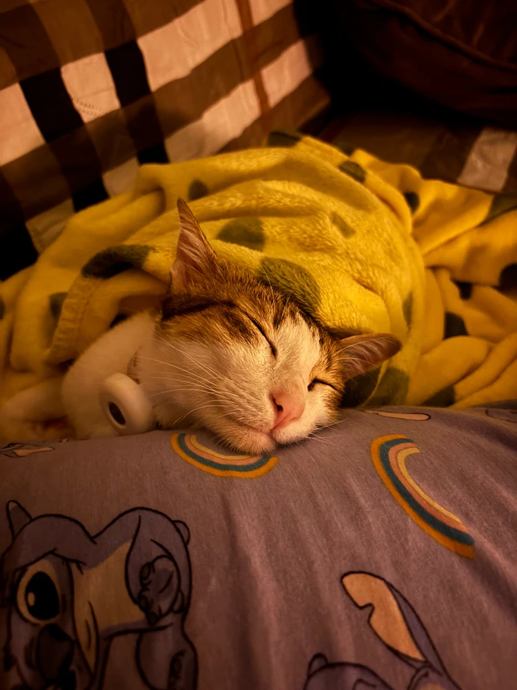 GIF uploaded by Pat♡