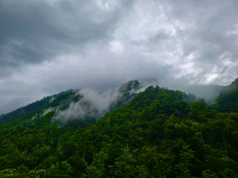 Harsh അപ്‌ലോഡ് ചെയ്ത GIF