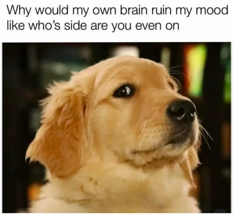 GIF uploaded by Benjiggity
