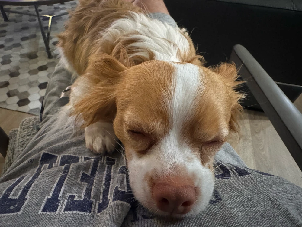 GIF uploaded by Matty