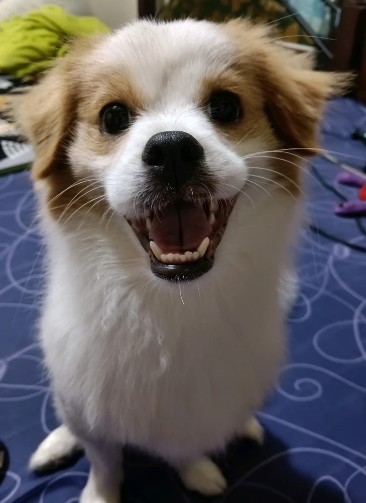 GIF uploaded by Ellie