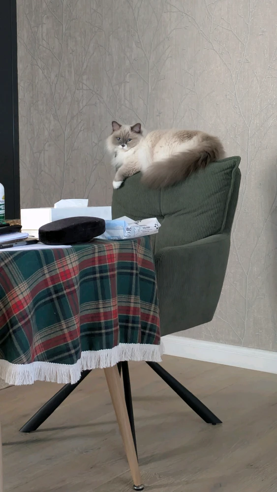 GIF diunggah ku Sarah
