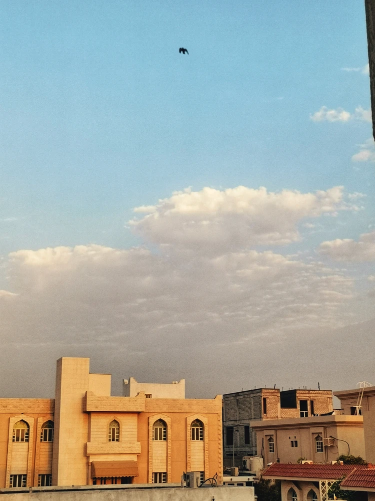 Katrina پاران اپ لوڊ ڪيل تصوير