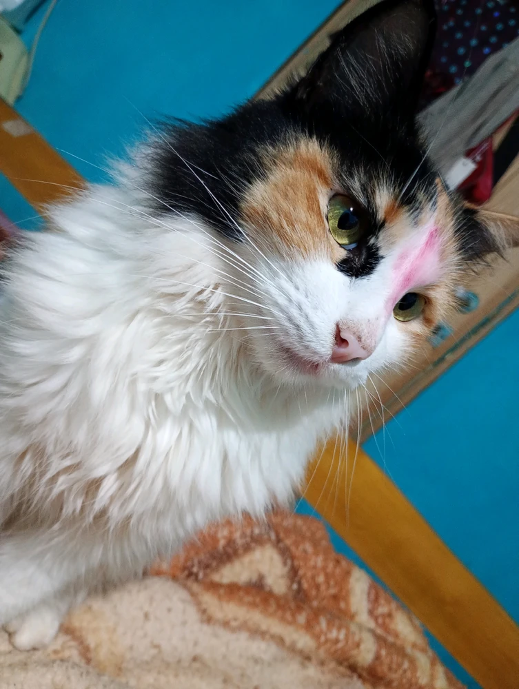 GIF uploaded by Maira