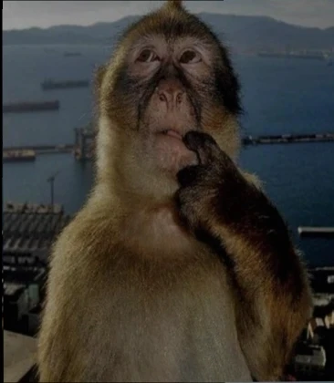 GIF Kingston tərəfindən yükləndi