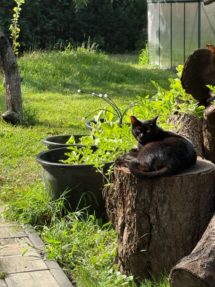 GIF uploaded by Nina