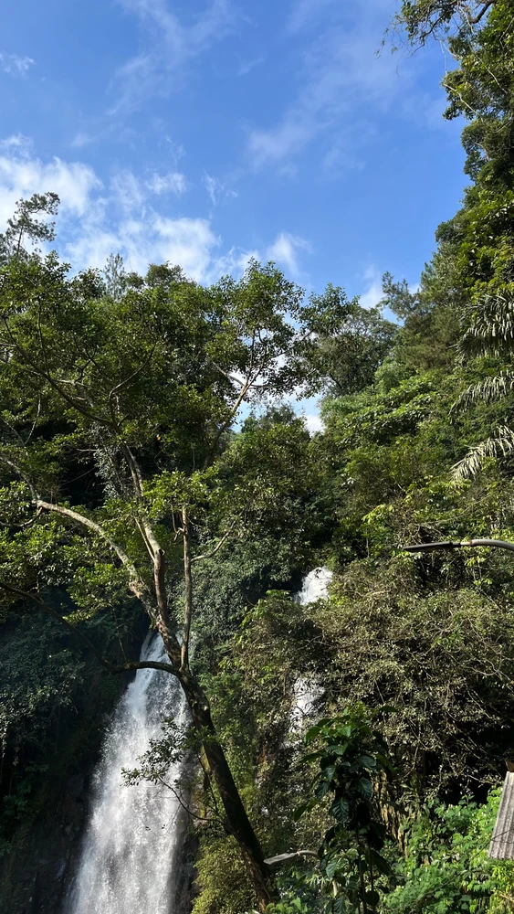 GIF uploaded by Yol